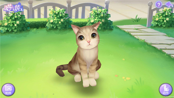 喵與筑無限貓爪版 喵與筑無限貓爪版