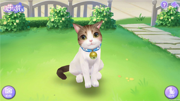 喵與筑無限貓爪版 喵與筑無限貓爪版