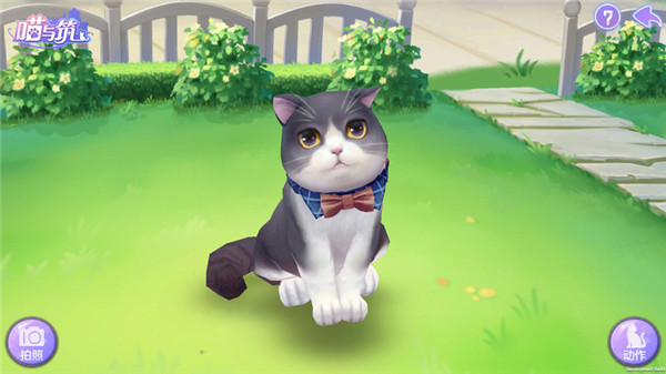 喵與筑無限貓爪版 喵與筑無限貓爪版