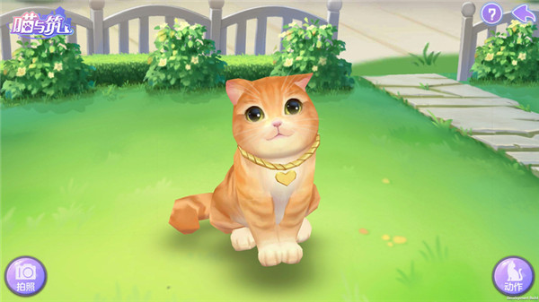 喵與筑無限貓爪版 喵與筑無限貓爪版