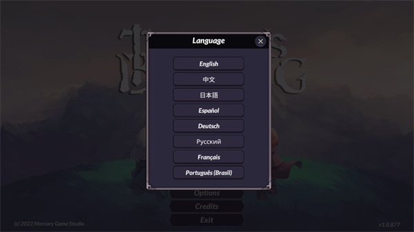 怎么設(shè)置成中文3