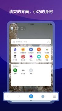 遨游瀏覽器(Maxthon)