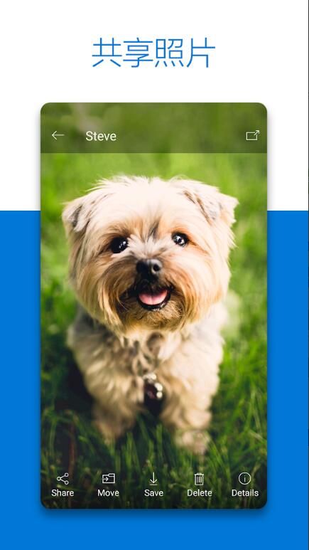微軟網盤(OneDrive)