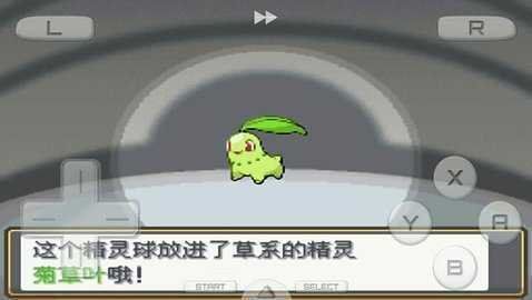 口袋妖怪心金魂銀