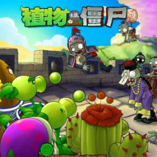 植物大戰(zhàn)僵尸2011版