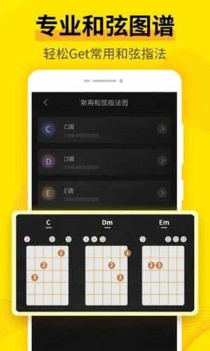 調(diào)音器安卓版(Guitar Tuner)