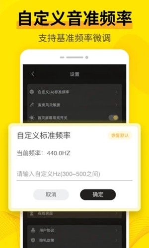 調(diào)音器安卓版(Guitar Tuner)