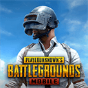 刺激戰場亞服(PUBG MOBILE)