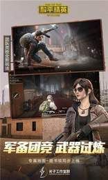 和平精英容器直裝(新qq容器直裝)