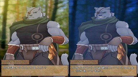 野獸戰(zhàn)士的夜晚