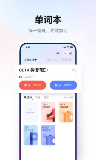 有道詞典本地版