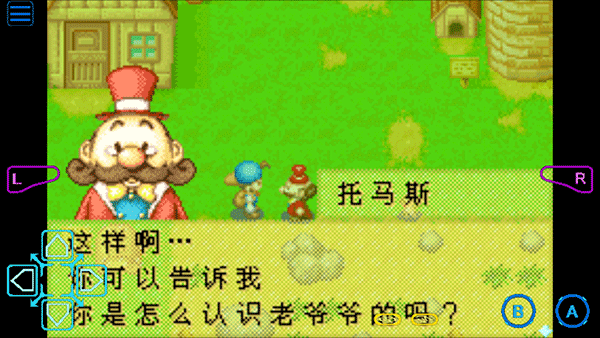 牧場物語礦石鎮的伙伴們