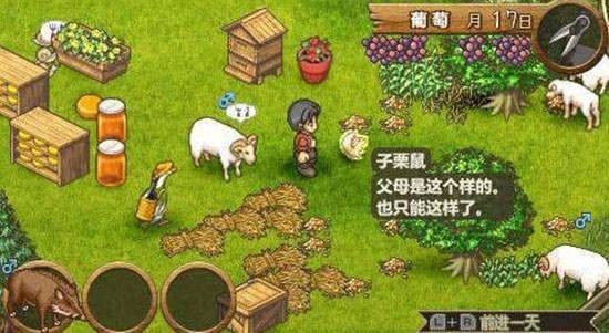 歡迎來到綿羊村