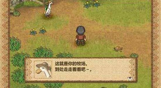 歡迎來到綿羊村