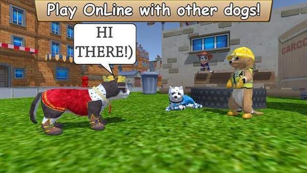 美國(guó)Zoom動(dòng)物