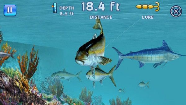 垂釣之王(Fishing Kings)