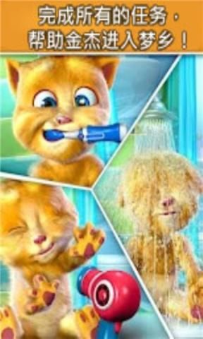 會說話的金杰(Talking Ginger)