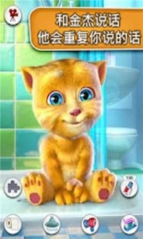 會說話的金杰(Talking Ginger)