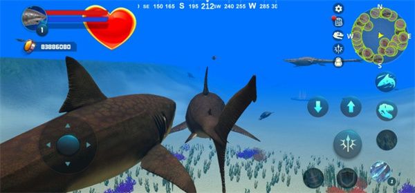 巨齒鯊模擬器(Megalodon Simulator)