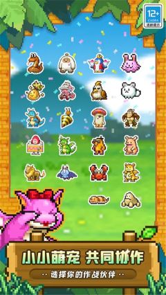 冒險(xiǎn)村物語2漢化版(Dungeon Village2)