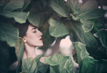 國際人體攝影教程