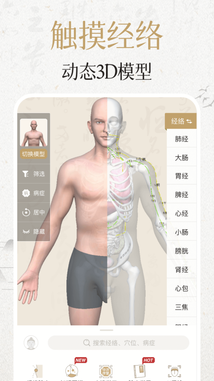 中濟(jì)經(jīng)絡(luò)穴位