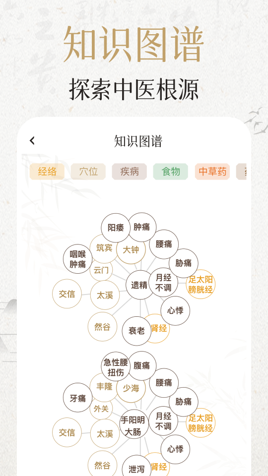 中濟(jì)經(jīng)絡(luò)穴位