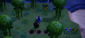 動(dòng)物之森手游(Pocket Camp)