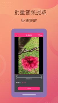 智能音頻提取器