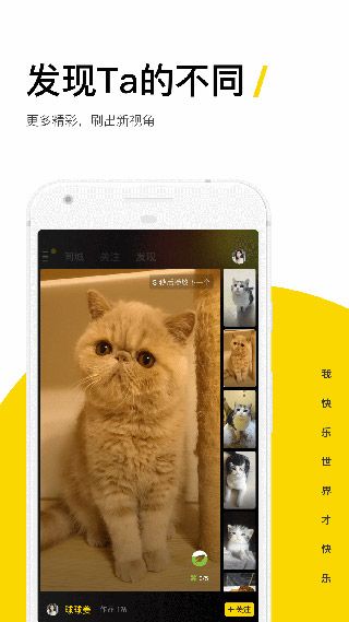 快手大屏版(KwaiFluent)