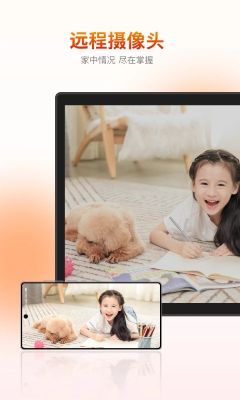 向日葵客戶端(SunloginClient)