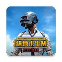 絕地求生臺服(PUBG MOBILE)