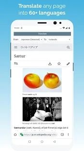 kiwi瀏覽器(Kiwi Browser)