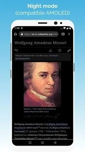 kiwi瀏覽器(Kiwi Browser)