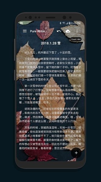 純純寫作(Pure Writer)