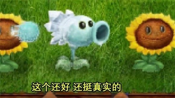植物大戰僵尸寫實版(PvZ Real Life Mod )