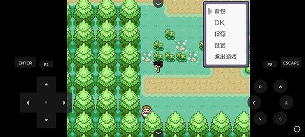 口袋妖怪燃之智手機(jī)版