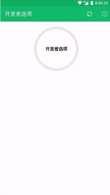 開發者選項(Developer Options)