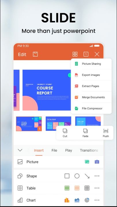 WPS Office Lite