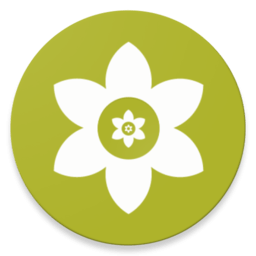 安裝獅(Install Lion)