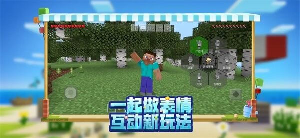 minecraft國際基巖版(Minecraft)