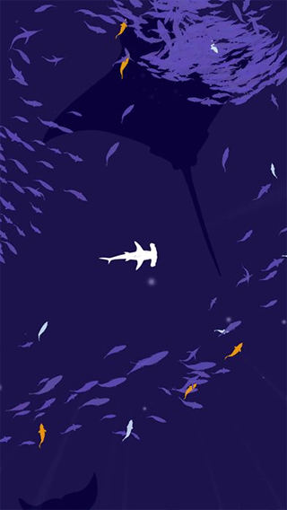 深海魚群(Shoal of fish)