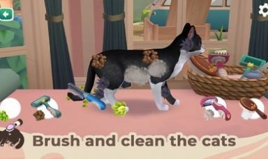 貓咪救援故事(Cat Rescue Story)