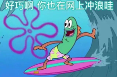 網(wǎng)上沖浪軟件下載合集