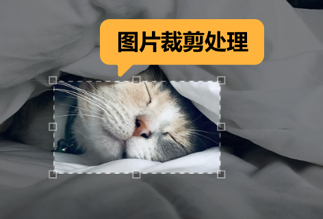 圖片裁剪處理工具