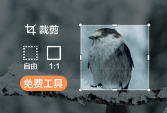 免費裁剪圖片尺寸大小