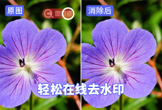 免費好用的去水印工具分享