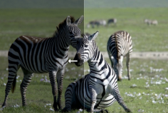 在線圖片曝光修復編輯器