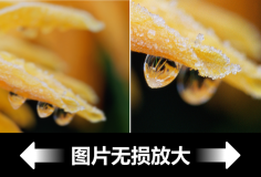 在線圖片無損放大工具