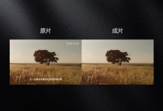 智能自動去除水印或字幕